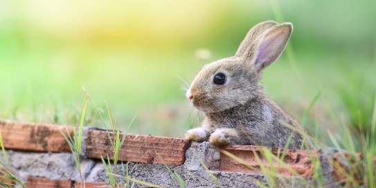 Praxisferien an Ostern 2025
